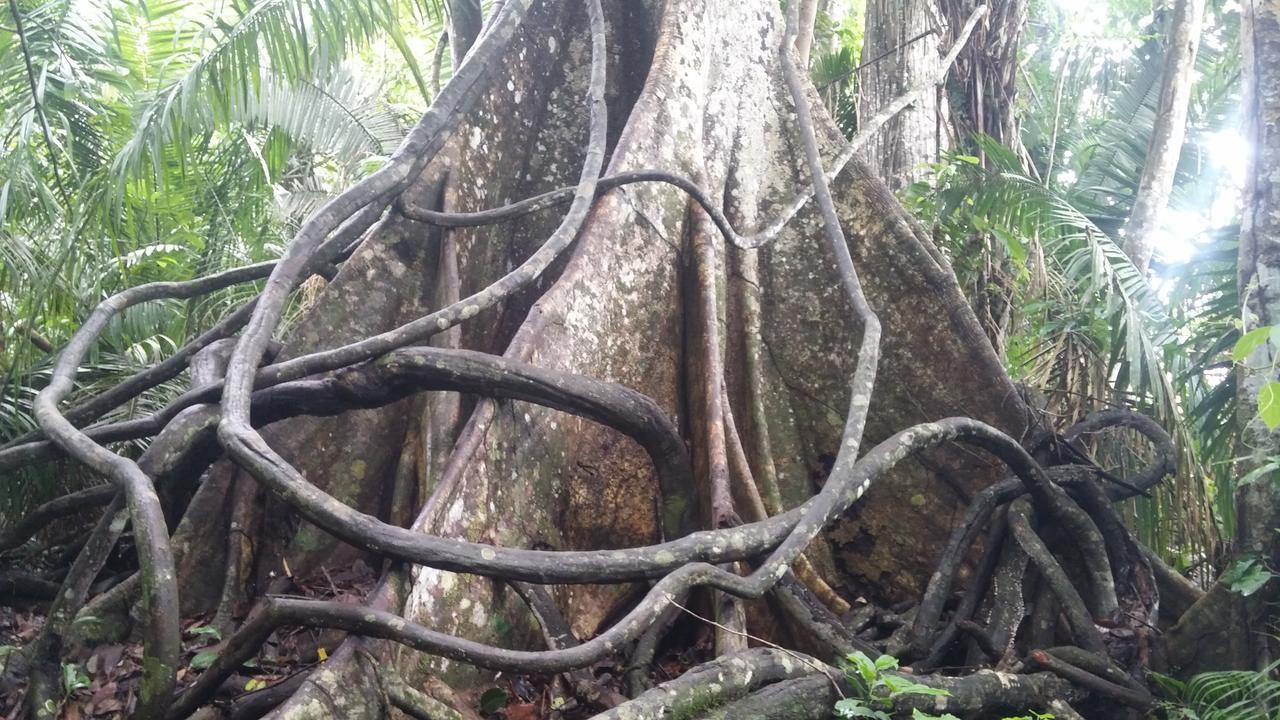 Casa Sandoval Villa Puerto Maldonado Dış mekan fotoğraf